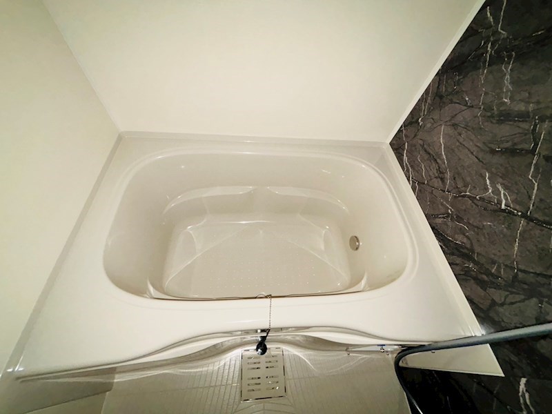 ルピナス その他25