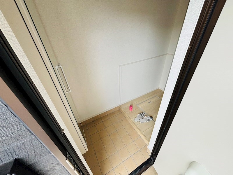 ルピナス その他26