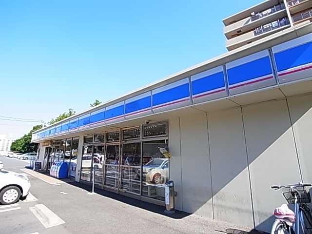 ルピナス 周辺画像3