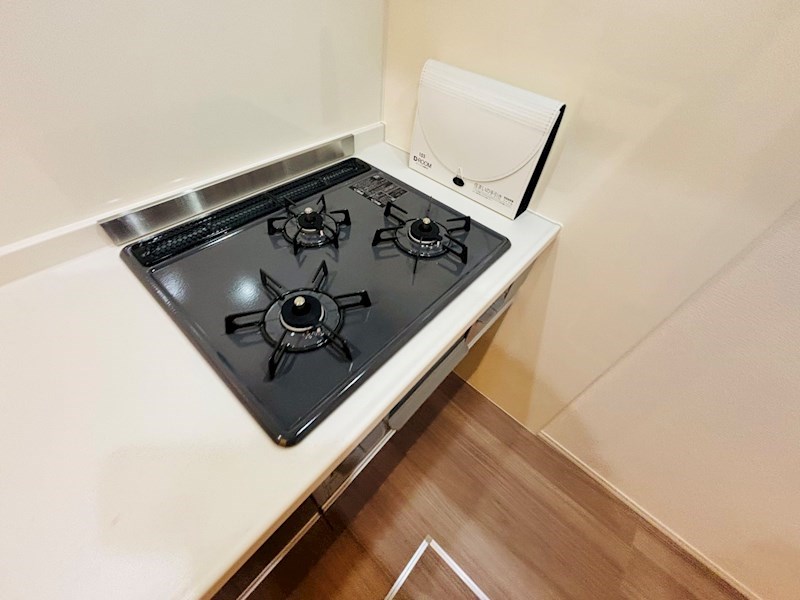 ルリアン綾瀬２ その他25