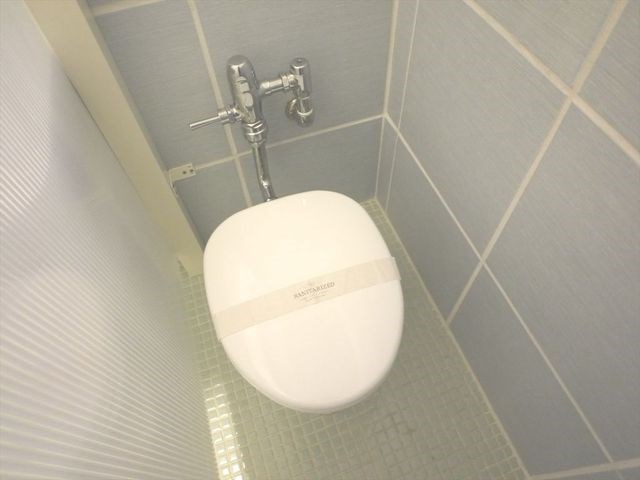 東和緑野ダイヤモンドマンション  その他1