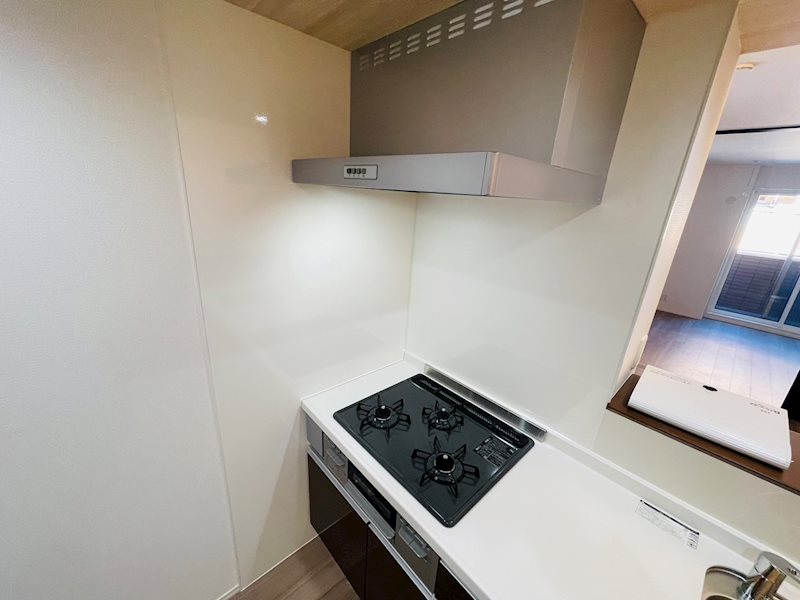 ルリアン綾瀬２ その他25