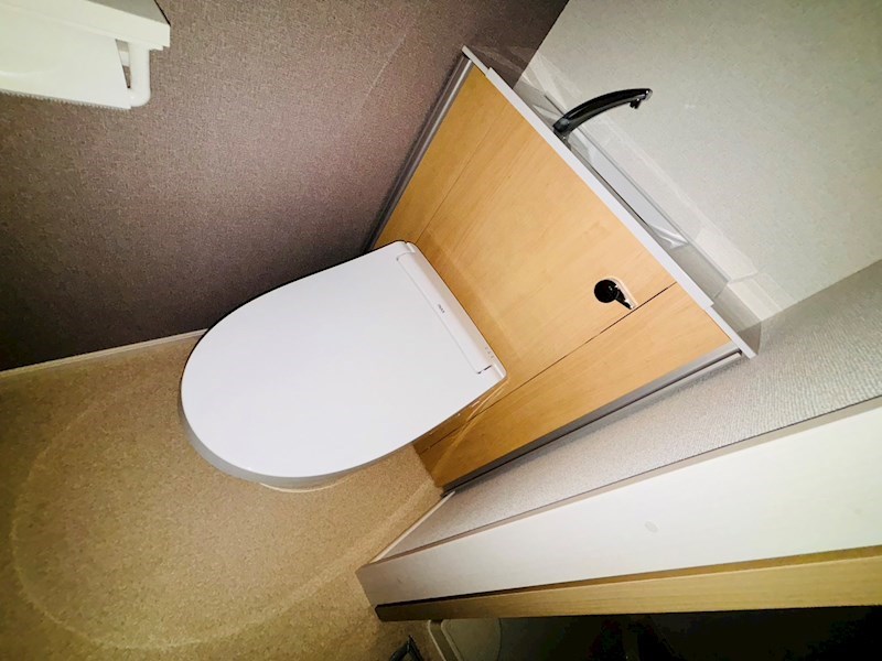 ルピナス その他1