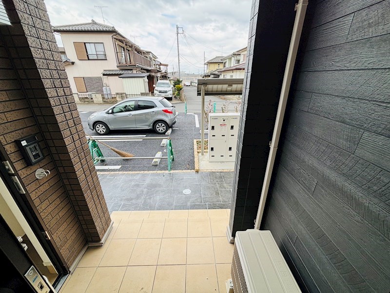 ルピナス その他5