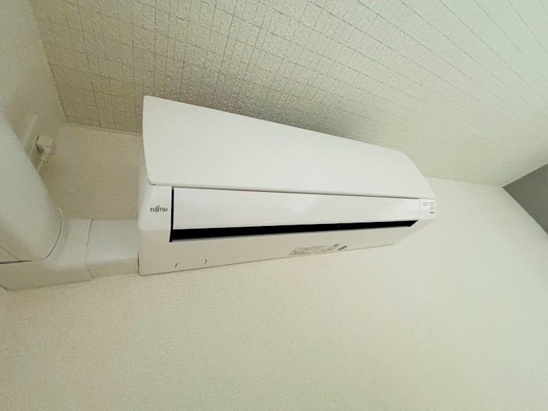 ルピナス その他6