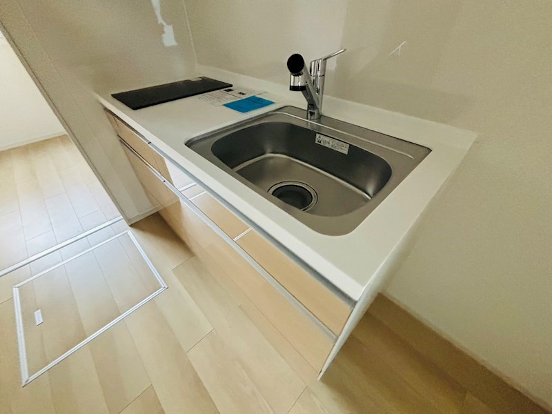 ルピナス その他13