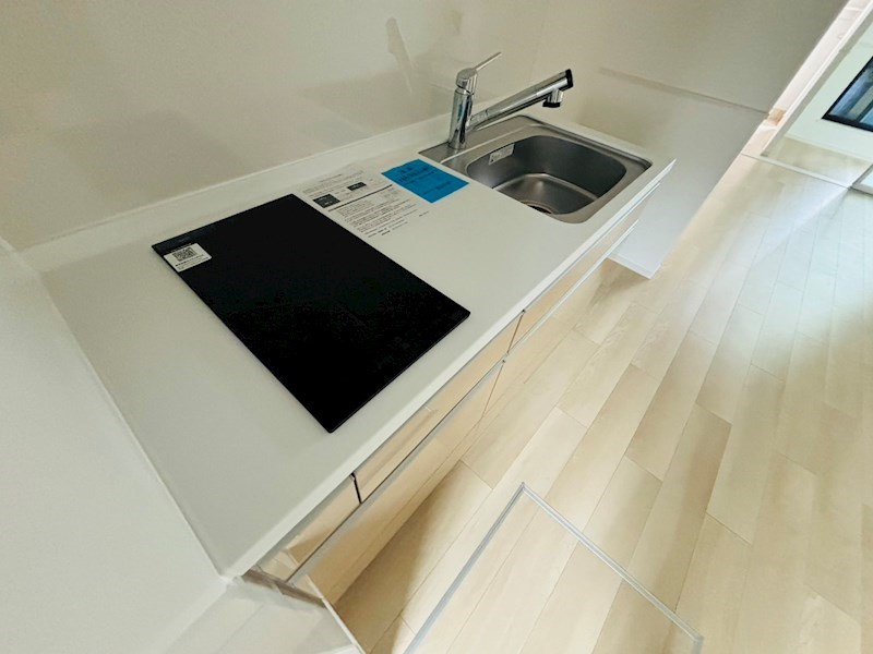 ルピナス その他16