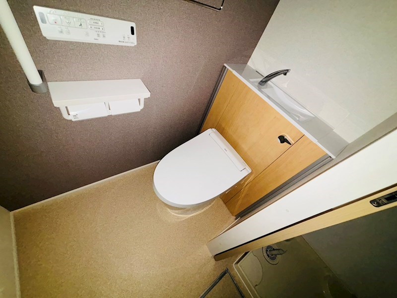 ルピナス その他17