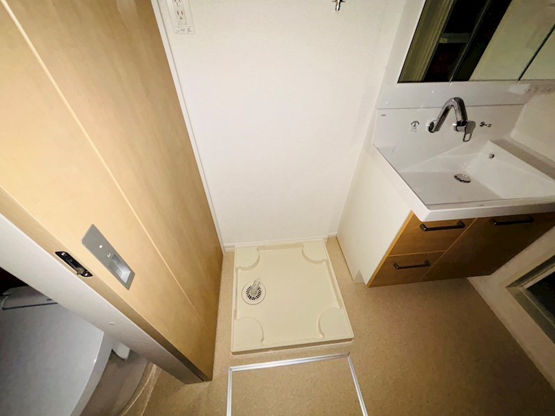 ルピナス その他18