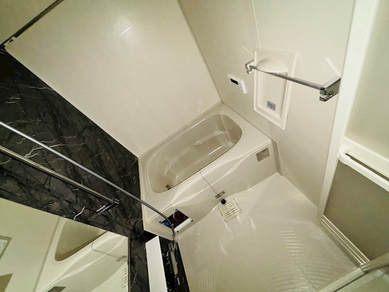 ルピナス その他19