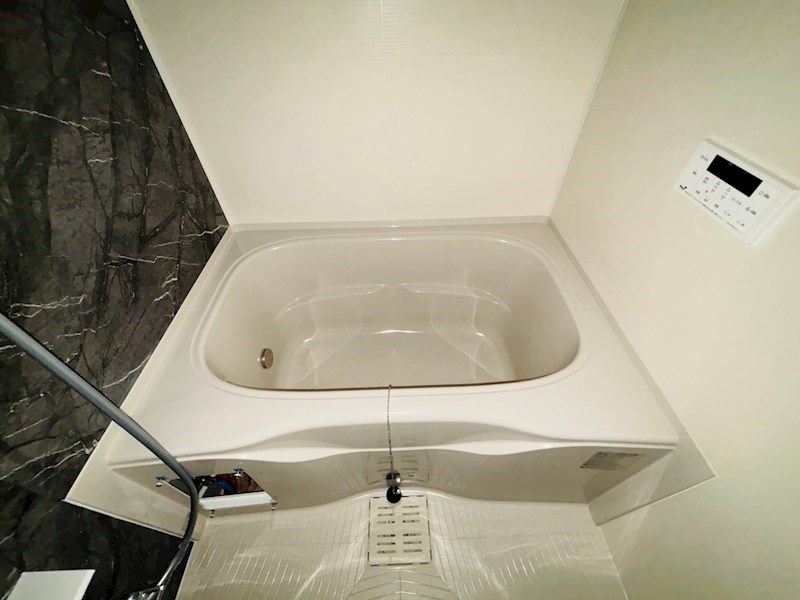 ルピナス その他20