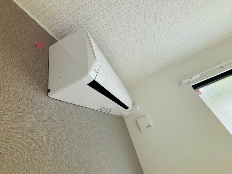 ルピナス その他22