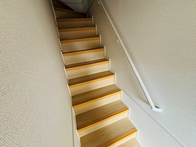 ルピナス その他9