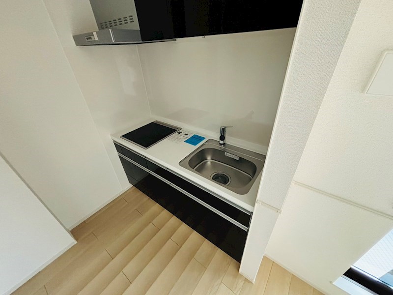 ルピナス その他12