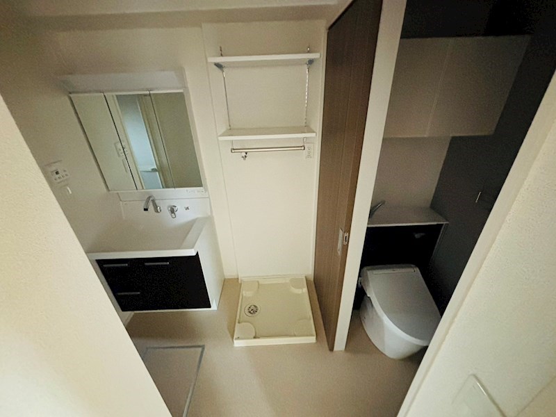 ルピナス その他20