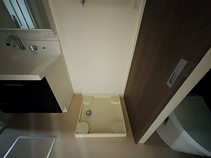 ルピナス その他21