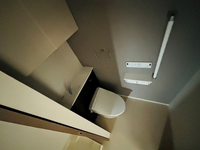 ルピナス その他22