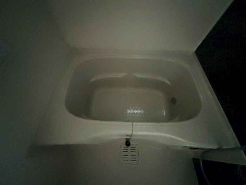 ルピナス その他24