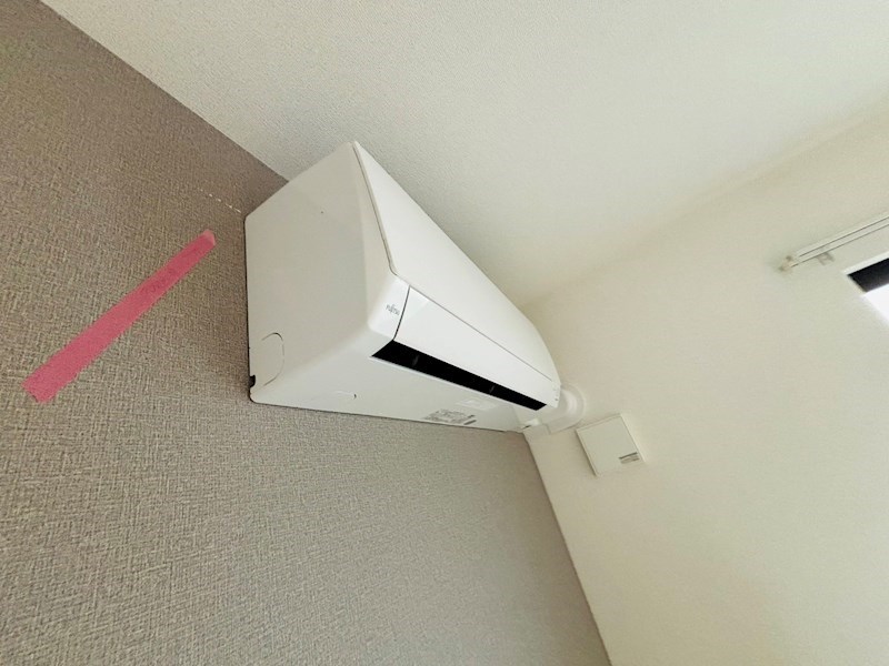 ルピナス その他26