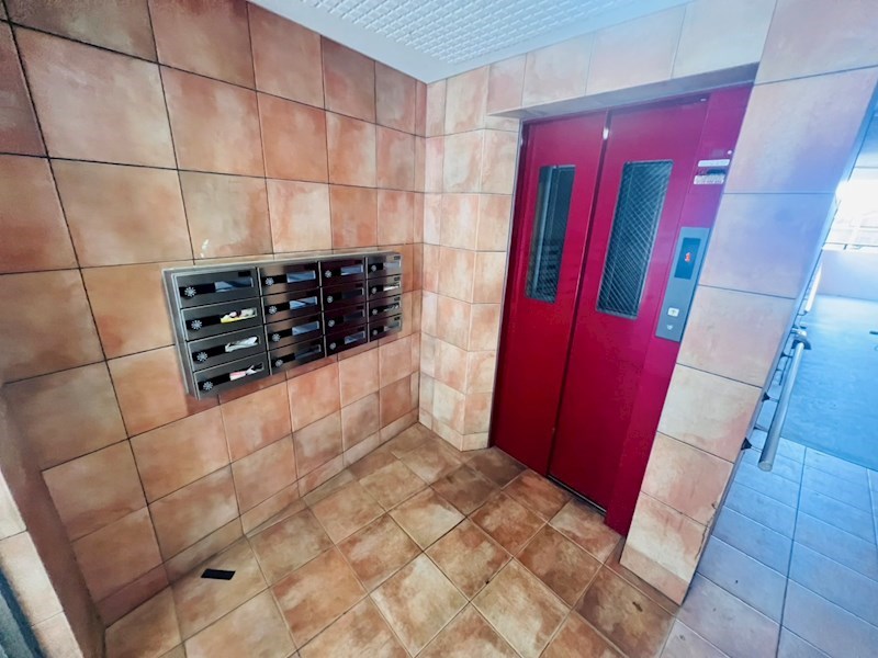 ウィル その他外観6