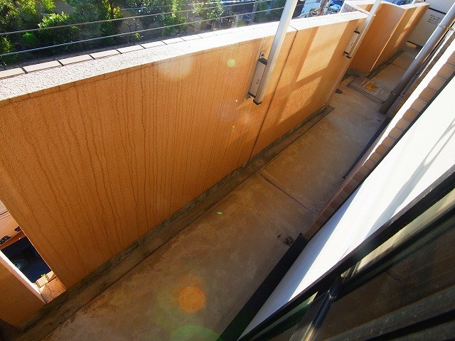 ウィル その他32