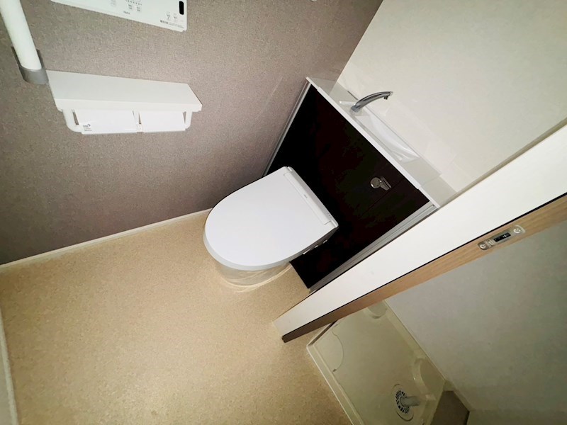 ルピナス その他1