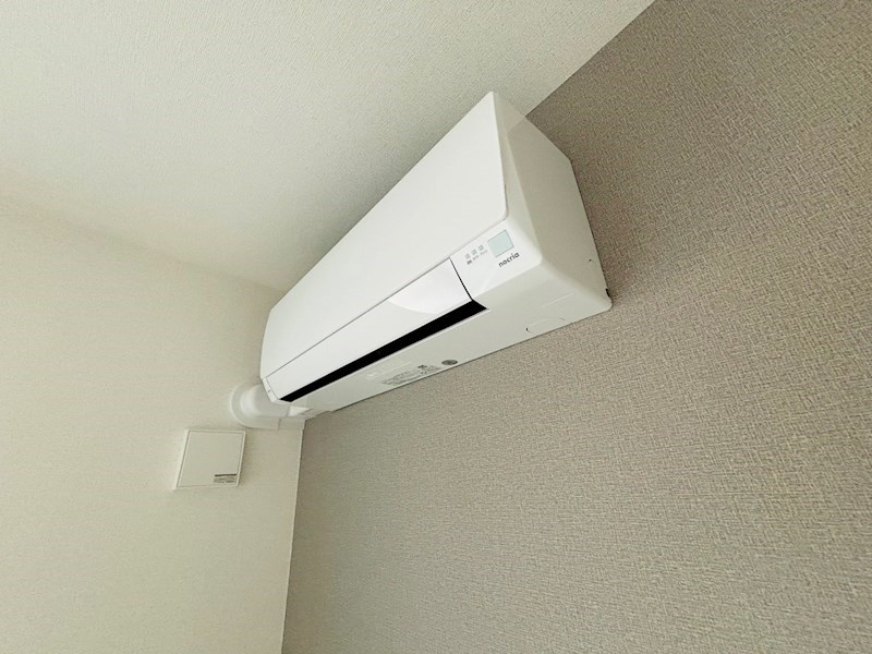 ルピナス その他6