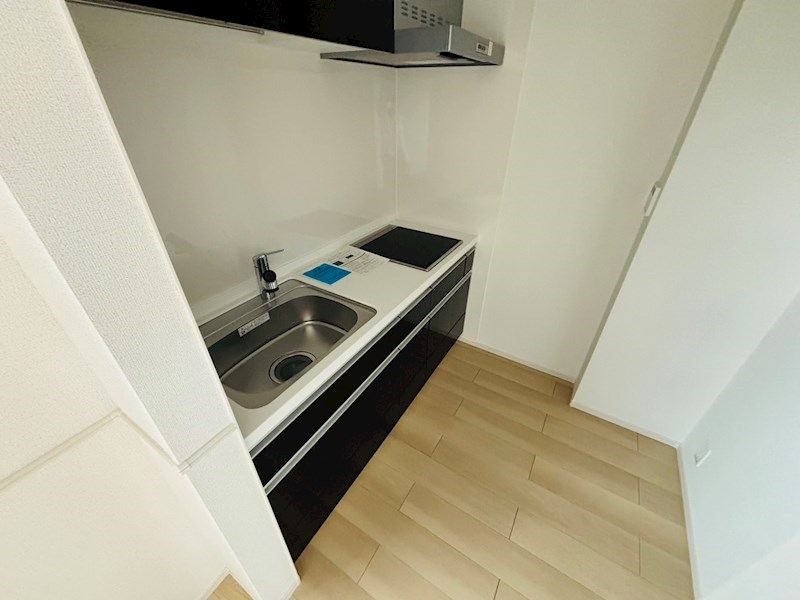 ルピナス その他11