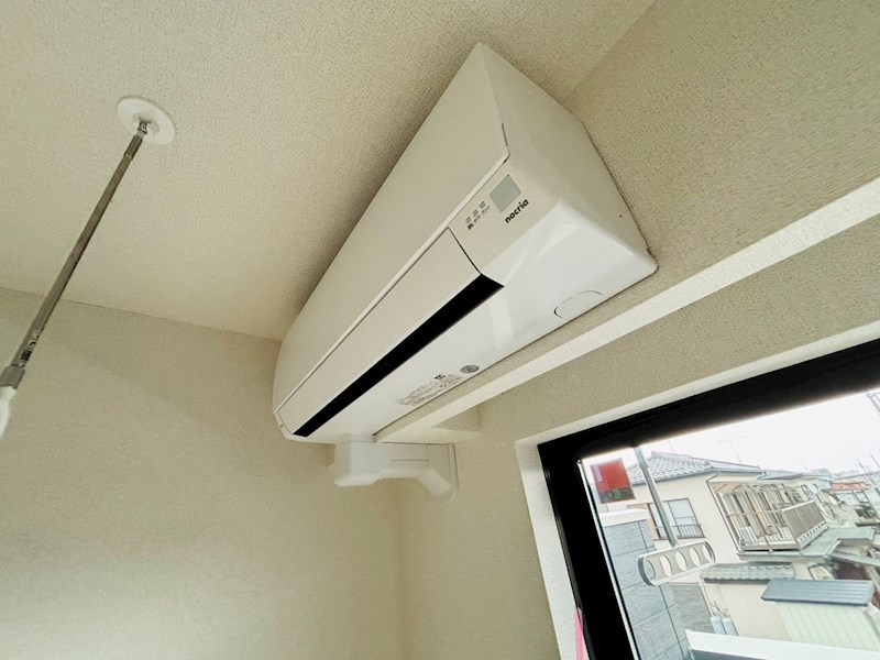 ルピナス その他17