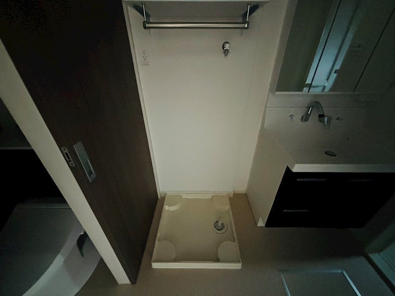 ルピナス その他27