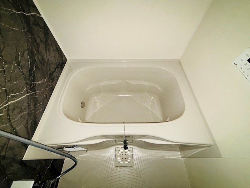 ルピナス その他29