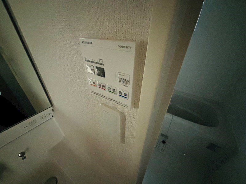 ルピナス その他30