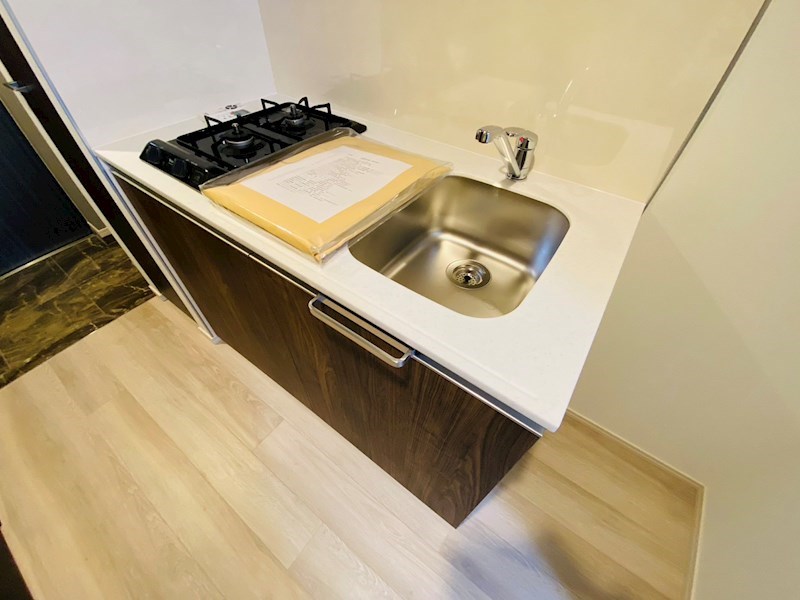 ラフィスタ金町 その他21