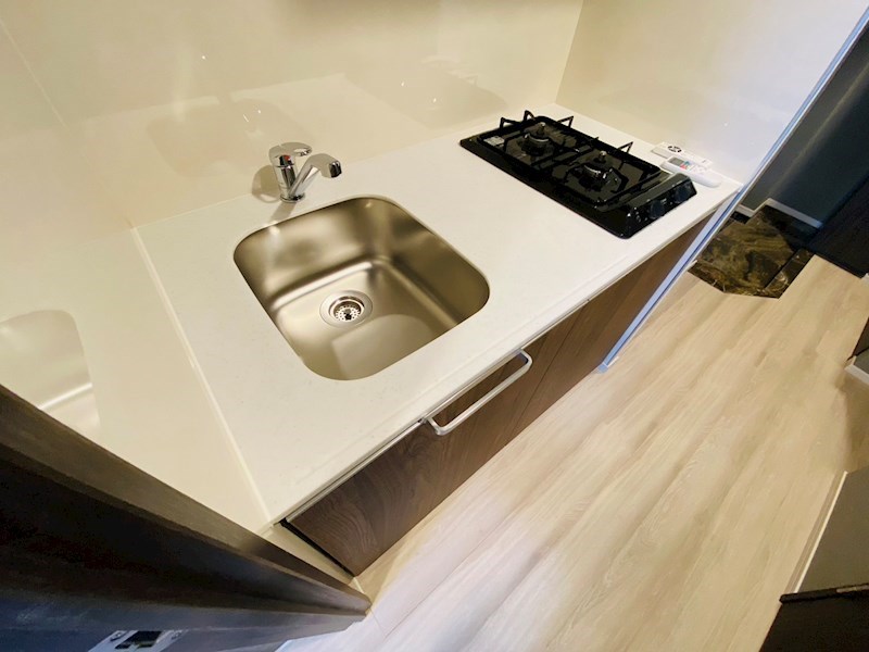 ラフィスタ金町 その他10