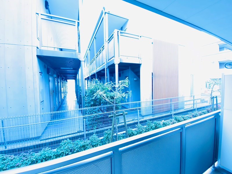 リブリ・Ｙ＆Ｓ その他6