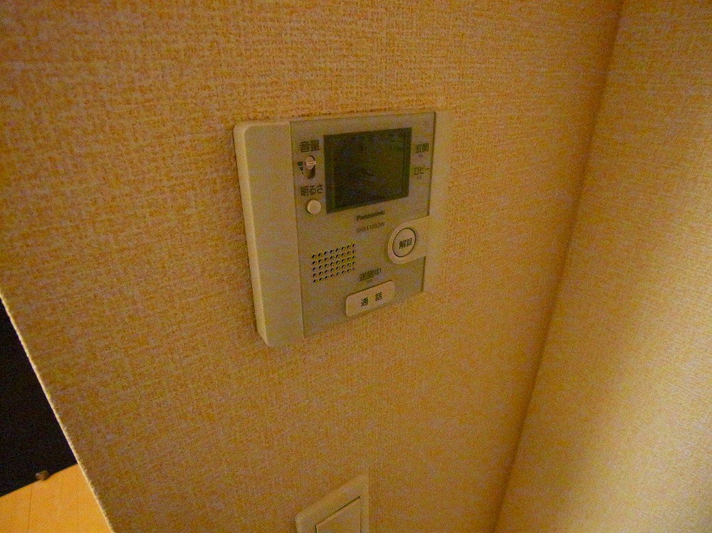 シトロンフレア２ その他4