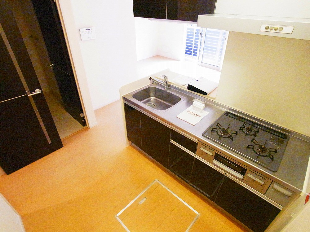 シトロンフレア２ その他12