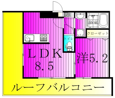 LEVICIA BLDG.Ⅱ 513号室 間取り