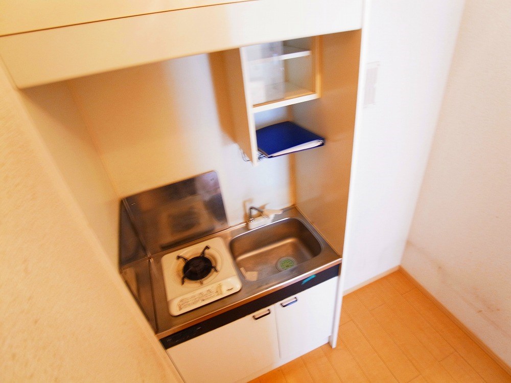 プレミール その他15