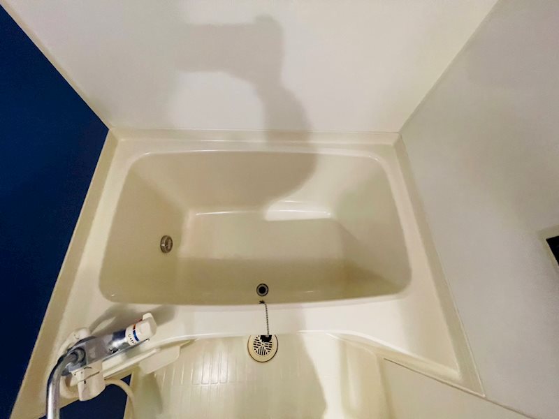 DeLCCS　ayase Ⅱ その他24