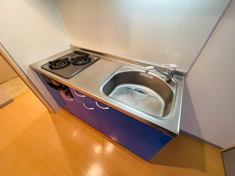 DeLCCS　ayase Ⅱ その他28