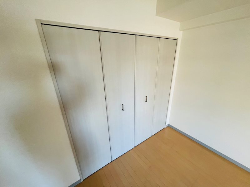 DeLCCS　ayase Ⅱ その他34