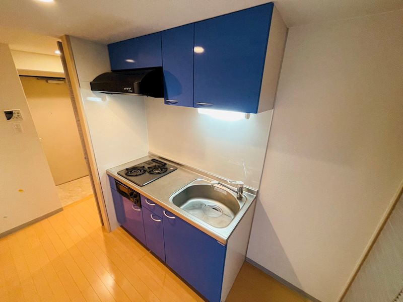 DeLCCS　ayase Ⅱ キッチン