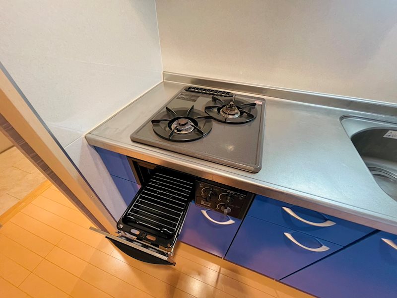 DeLCCS　ayase Ⅱ その他29