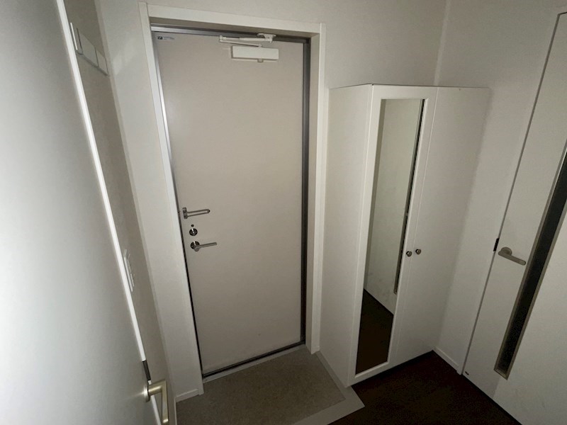 ラシーネ扇クローバー その他14