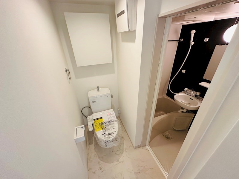 イクシオ　トウカイ その他1