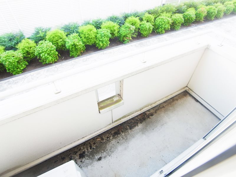 エバートン ベランダ