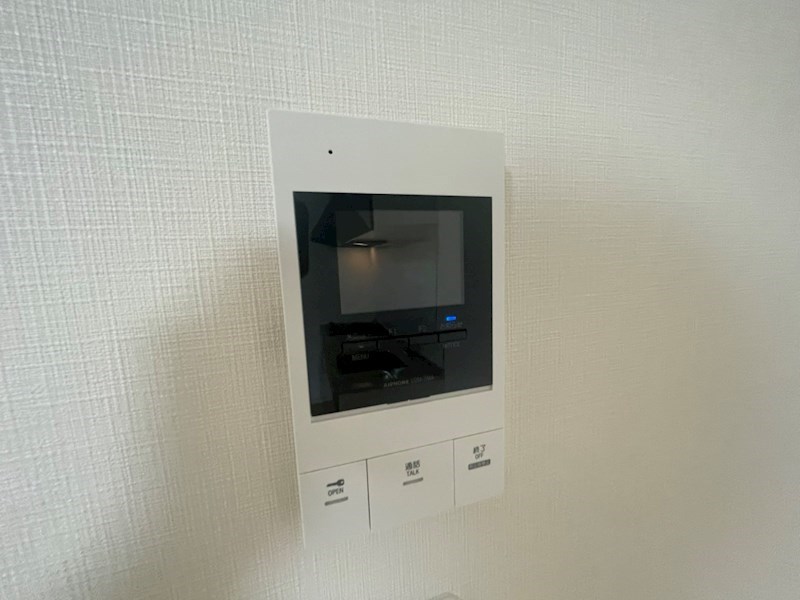 アイレガリアⅠ その他3