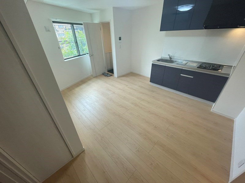 アイレガリアⅠ その他13