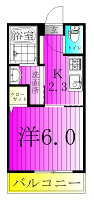アリロッセ新鎌ヶ谷 205号室 間取り